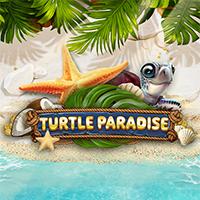 Turtle Paradise