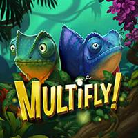  Multifly!